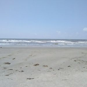 Meet your Posher, Samuel